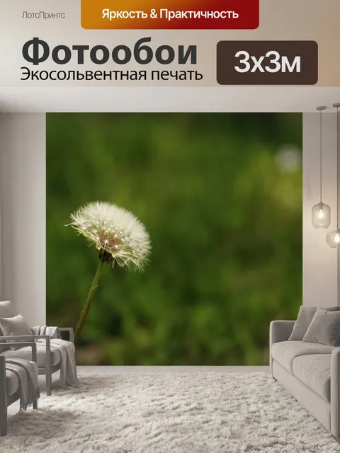 Фотообои Цветок