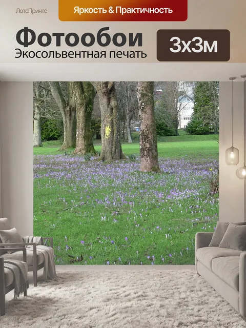 Фотообои Крокусы в Тавистокским Meadows
