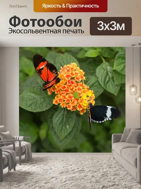 Фотообои Сад бабочек бенальмадена