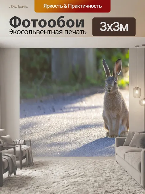 Фотообои Молодой заяц