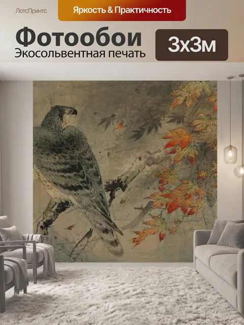Фотообои Хищная птица