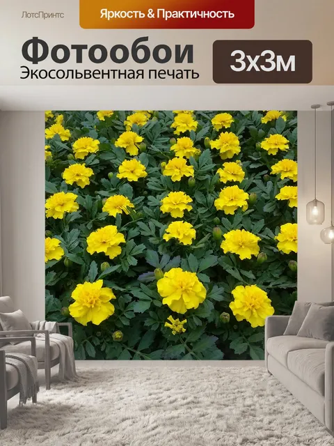 Фотообои Цветы