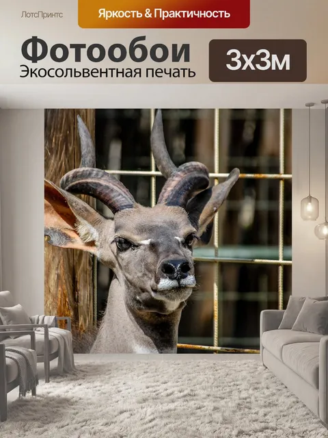 Фотообои Косуля