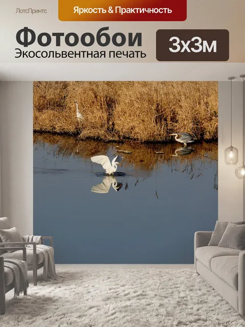 Фотообои Водоем