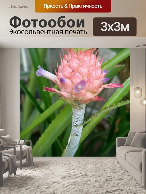 Фотообои Слева
