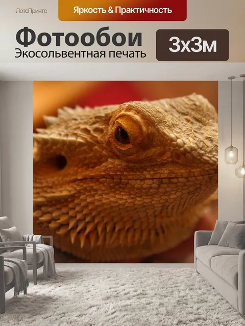 Фотообои Animal