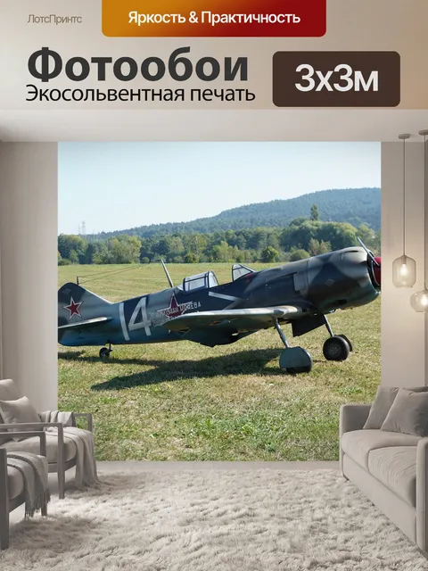 Фотообои Военная птица