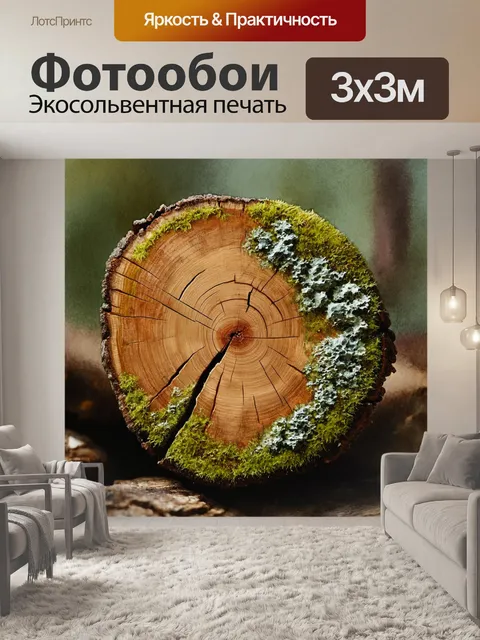 Фотообои текстура спила старого дерева