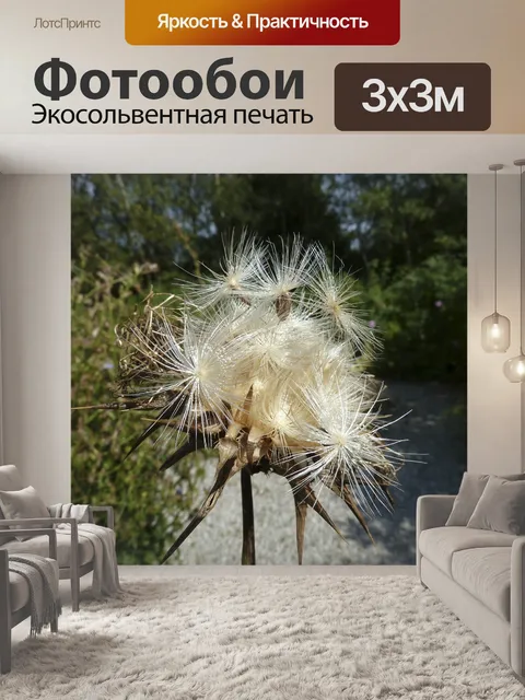 Фотообои Семян молочного чертополоха