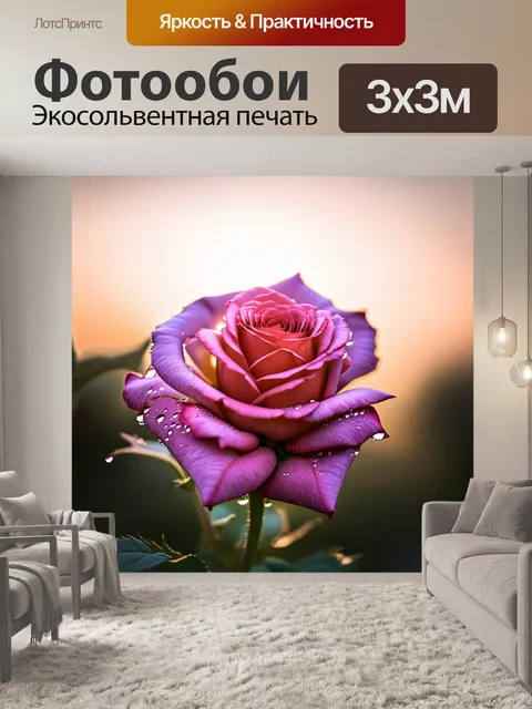 Фотообои роза, окруженная каплями росы на утреннем солнце, с мягкими лепестками, мерцающими в лучах света, и фоном…