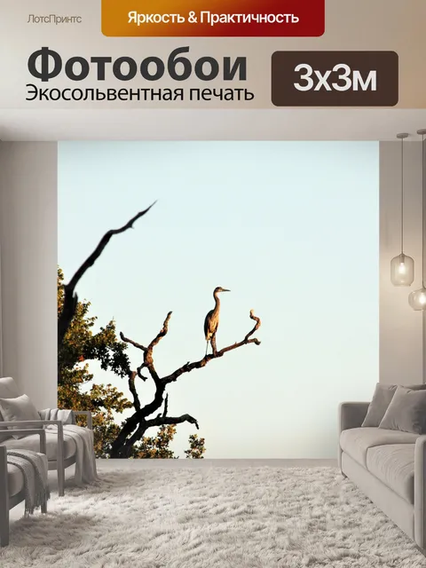 Фотообои Цапля в дереве в сумерках