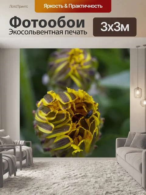 Фотообои Весна