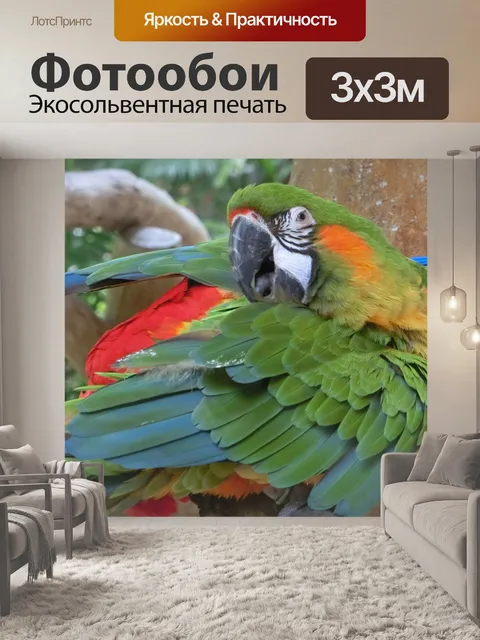 Фотообои Ара