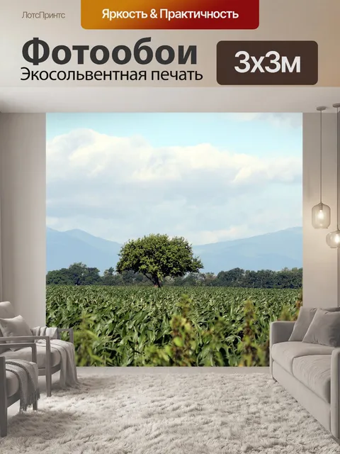 Фотообои Дерево