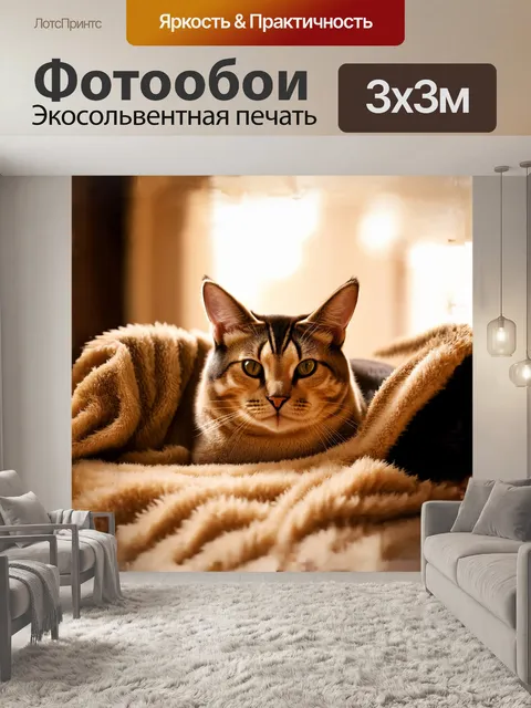 Фотообои тайская кошка удобно устроилась на уютном пледе