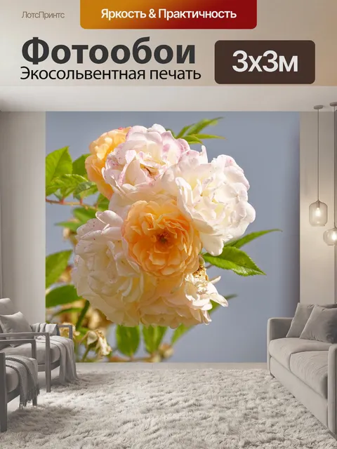 Фотообои Роза