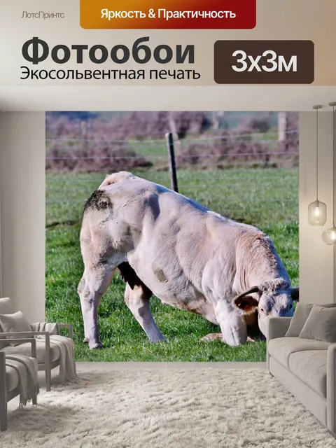 Фотообои Корова