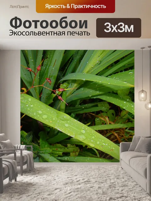 Фотообои Капли дождя на листьях