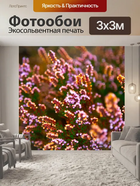 Фотообои фиолетовый вереск