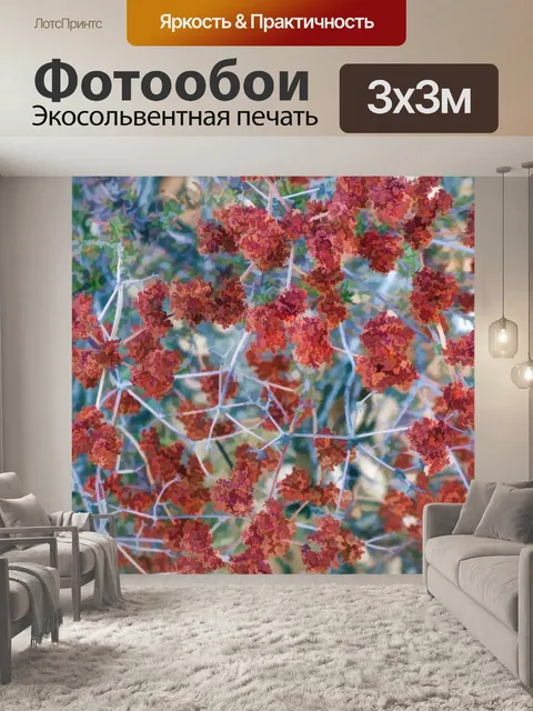 Фотообои История гречихи в Калифорнии