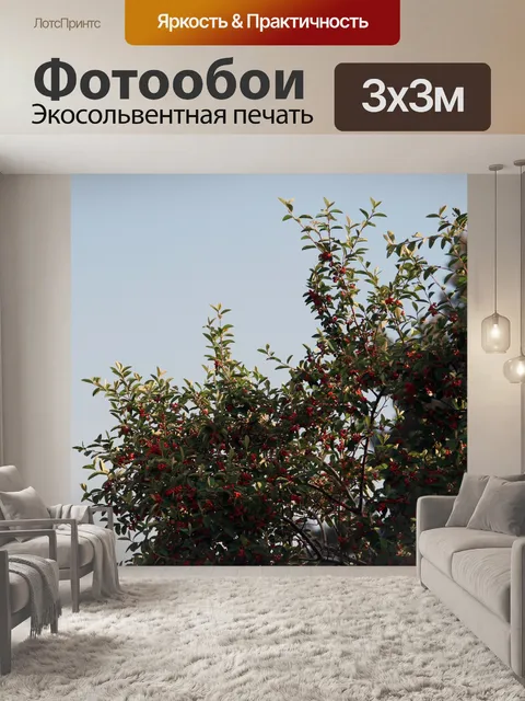 Фотообои ягоды на фоне неба