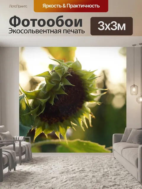 Фотообои Подсолнух цветущее поле