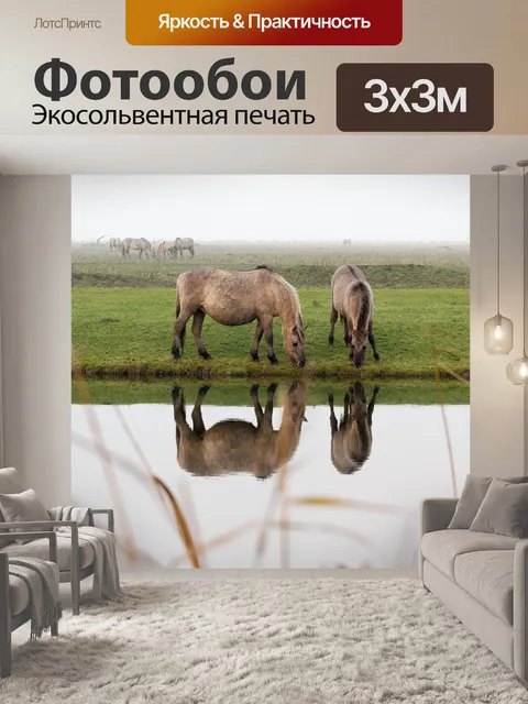 Фотообои Лошади