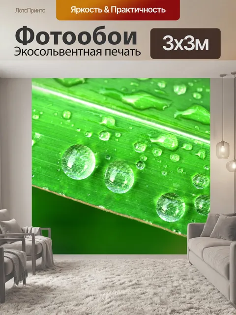 Фотообои Капля воды на листе