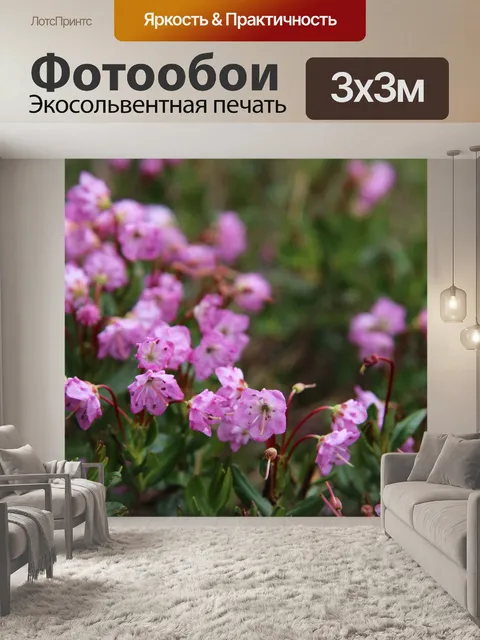 Фотообои Розовые горные цветы