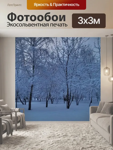 Фотообои Снег