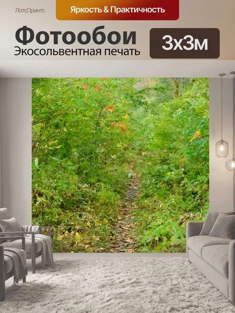 Фотообои Тропа в лесу
