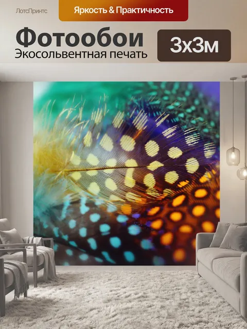 Фотообои Натюрморт фото перья очки
