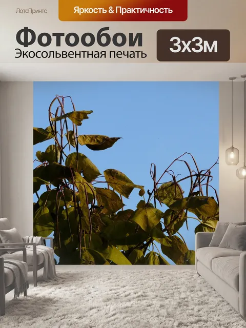 Фотообои Труба