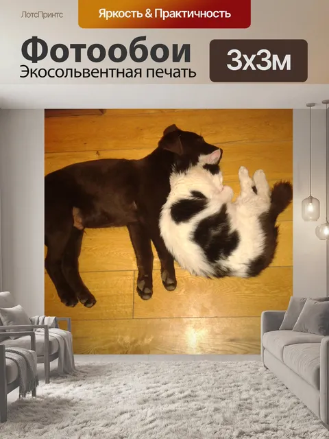 Фотообои Pet друзей