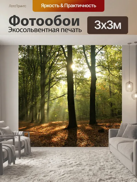 Фотообои Лес