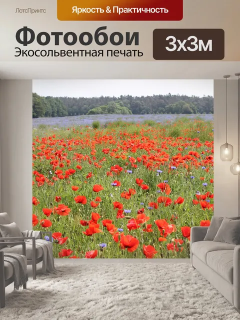 Фотообои Маковое поле