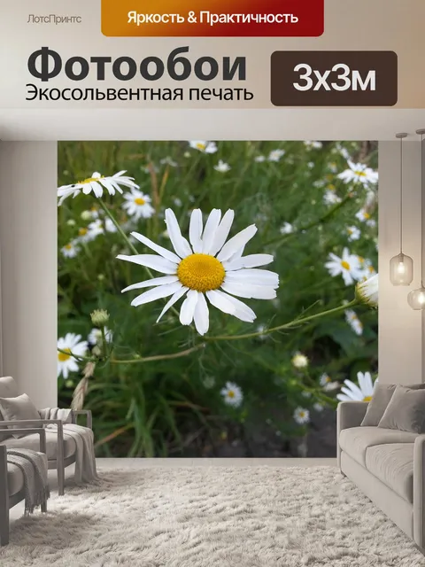 Фотообои Цветы