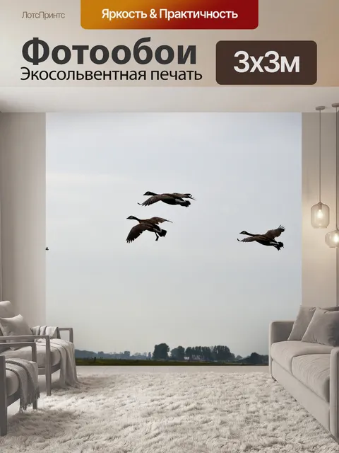 Фотообои Гуси