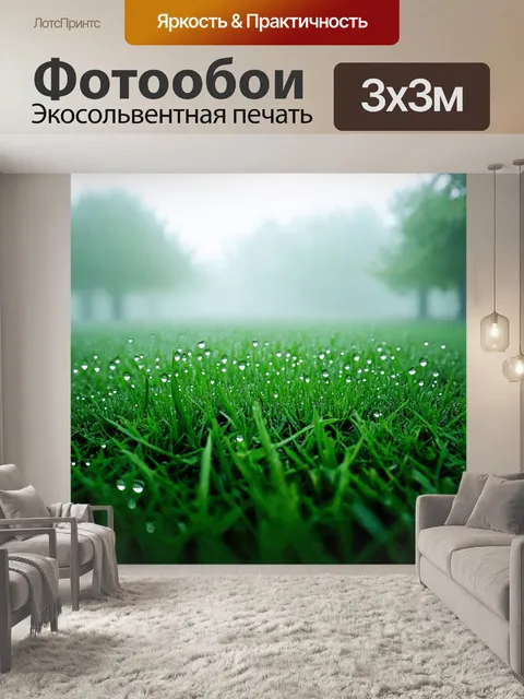 Фотообои туман в стиле неоромантизм, весеннее утро с роса на траве в тумане, создавая ощущение свежести и пробуждения