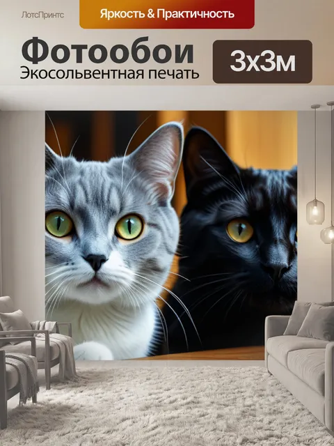 Фотообои с котами