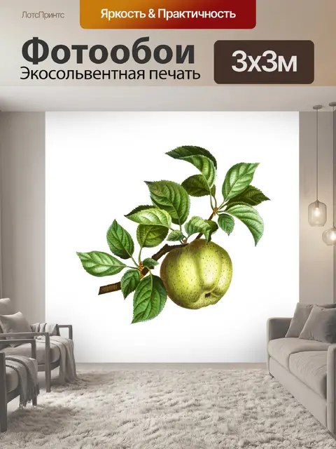 Фотообои Винтажный клипарт фруктовое яблоко