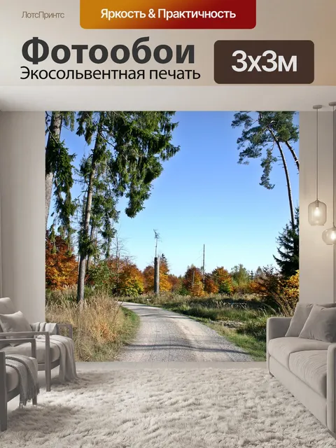 Фотообои Лес