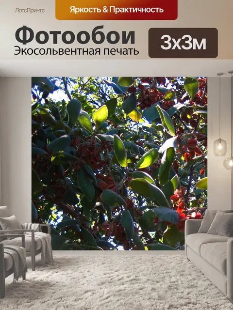 Фотообои красные семенные коробочки на зеленом де