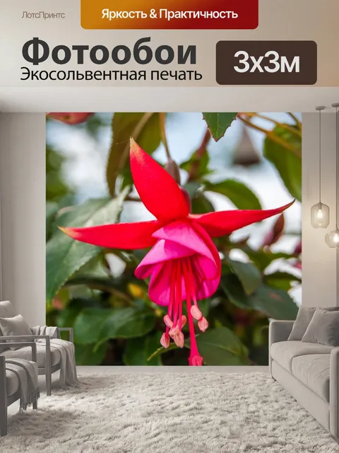 Фотообои Красный