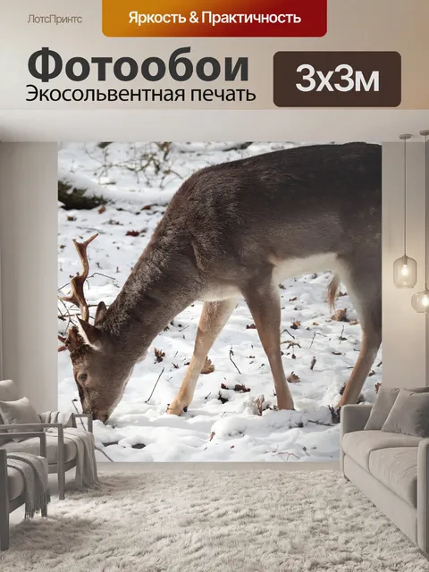 Фотообои Олень