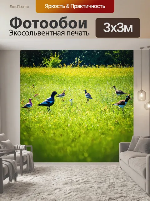 Фотообои поле, полное звуков природы, животных и птиц, которые создают уникальную симфонию