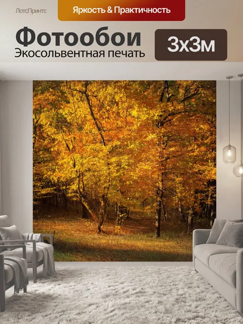 Фотообои осенний лес в кисловодске, где деревья окрашены в теплые оттенки желтого и оранжевого