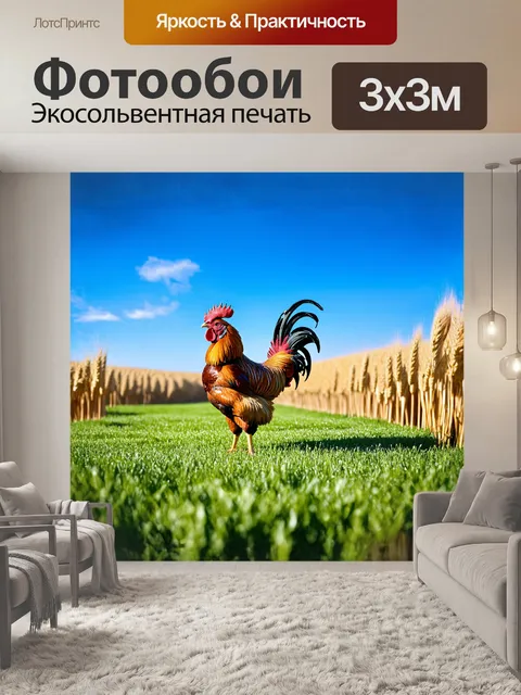 Фотообои петух с ярким оперением, стоящий на солнечной фермерской поляне