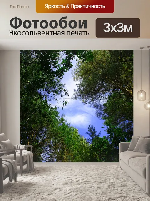 Фотообои Деревья