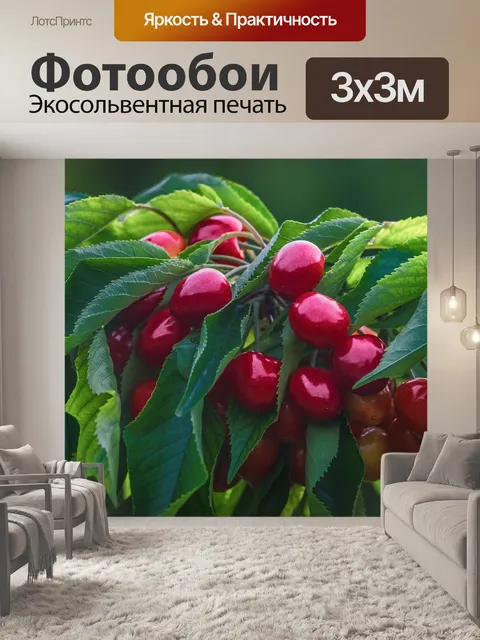 Фотообои Вишня